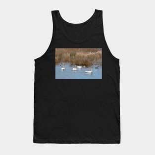 Tundra Swans Tank Top